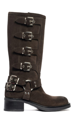 WINDSOR_CAMOSCIO_TDM (1)