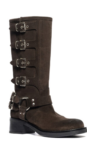 WINDSOR_CAMOSCIO_TDM (2)