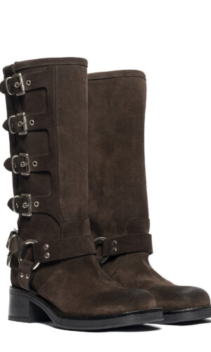 WINDSOR_CAMOSCIO_TDM (5)